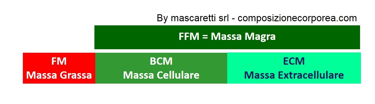 BCM_ECM