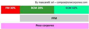 Composizione corporea obeso