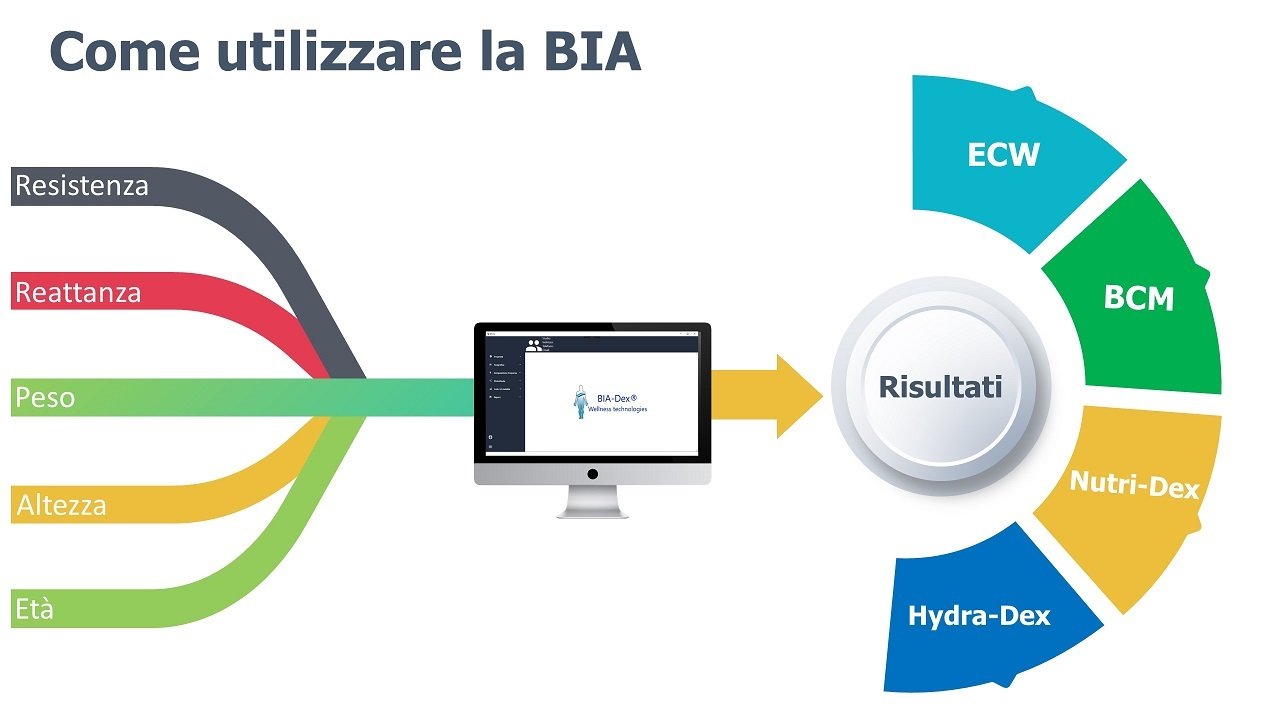 Utilizzo Della Bia